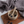 Load image into Gallery viewer, silikónová miska
